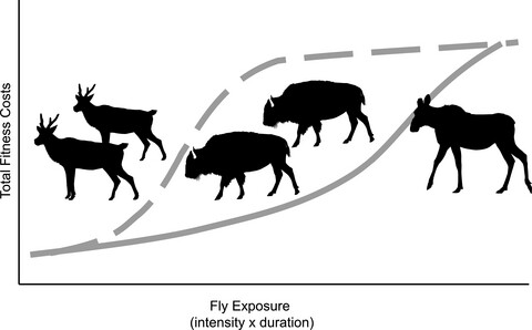 Adverse effects of Diptera flies on northern ungulates: Rangifer, Alces, and Bison