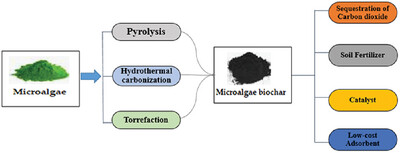 Thermal Conversion of Microalgae into Biochar: A Review on Processes, Properties, and Applications