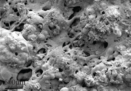 Details are in the caption following the image