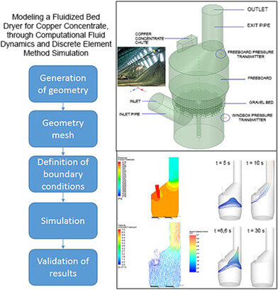 Modeling a Fluidized Bed Dryer through Computational Fluid Dynamics and the Discrete Element Method