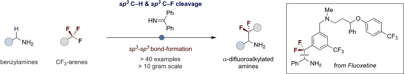 α-Difluoroalkylation of Benzyl Amines with Trifluoromethylarenes
