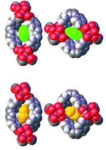 Shape Selectivity by Guest-Driven Restructuring of a Porous Material