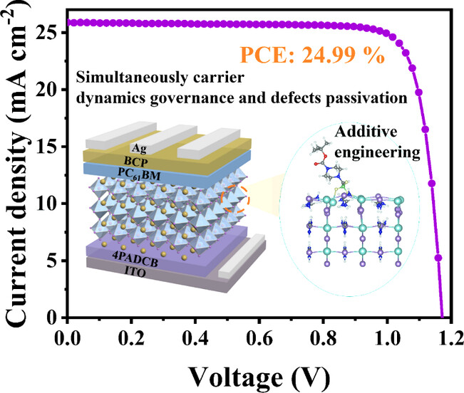 Multifunctional Trifluoroborate Additive for Simultaneous Carrier Dynamics Governance and Defects Passivation to Boost Efficiency and Stability of Inverted Perovskite Solar Cells