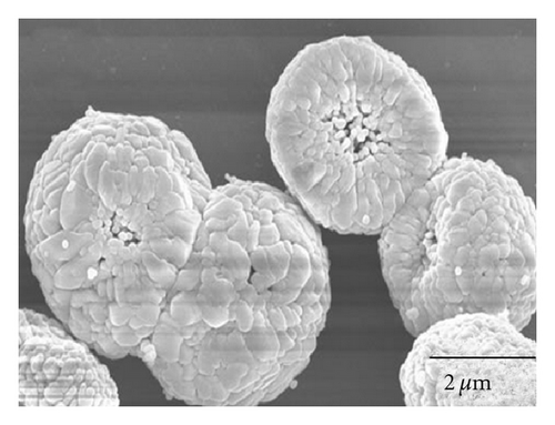 Details are in the caption following the image Details are in the caption following the image