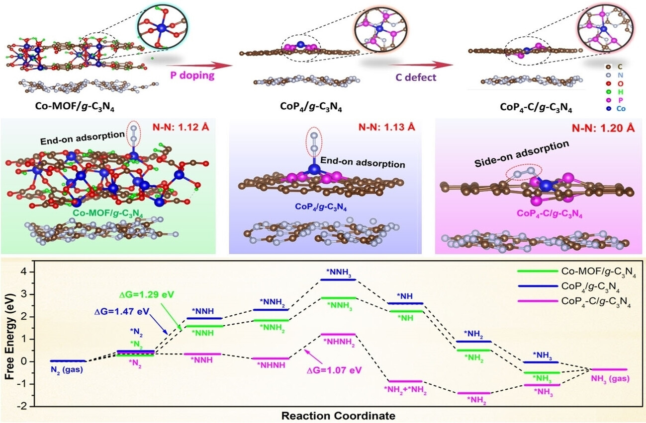 Achieving Photocatalytic Overall Nitrogen Fixation via an Enzymatic Pathway on a Distorted CoP4 Configuration