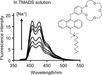 Measurement of Local Sodium Ion Levels near Micelle Surfaces with Fluorescent Photoinduced-Electron-Transfer Sensors
