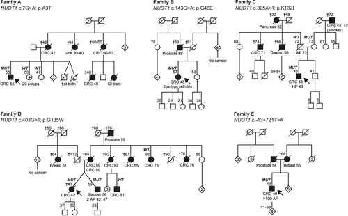 Details are in the caption following the image Details are in the caption following the image