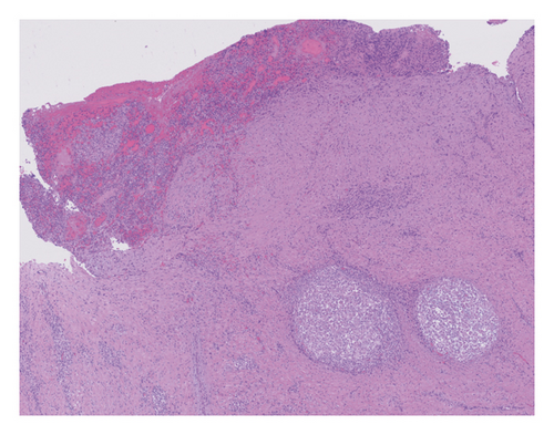 Details are in the caption following the image Details are in the caption following the image