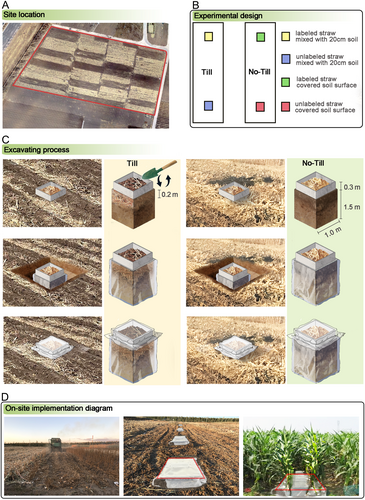Details are in the caption following the image Details are in the caption following the image