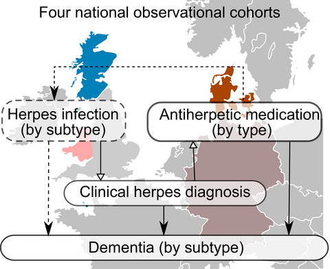 Antiherpetic medication and incident dementia: Observational cohort studies in four countries