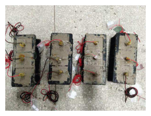 Details are in the caption following the image Details are in the caption following the image