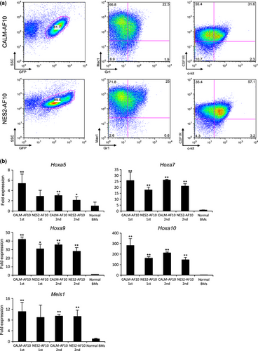 Details are in the caption following the image Details are in the caption following the image