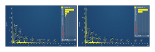 Details are in the caption following the image Details are in the caption following the image