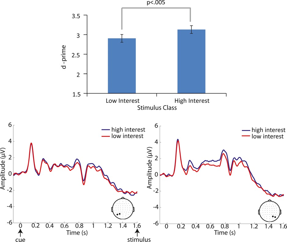 Interests shape how adolescents pay attention: the interaction of motivation and top-down attentional processes in biasing sensory activations to anticipated events