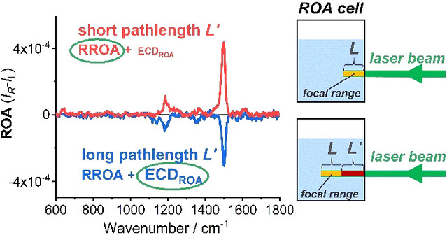 Recognition of the True and False Resonance Raman Optical Activity