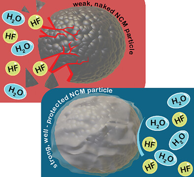 Osmotically Delaminated Silicate Nanosheet-Coated NCM for Ultra-Stable Li+ Storage and Chemical Stability Toward Long-Term Air Exposure