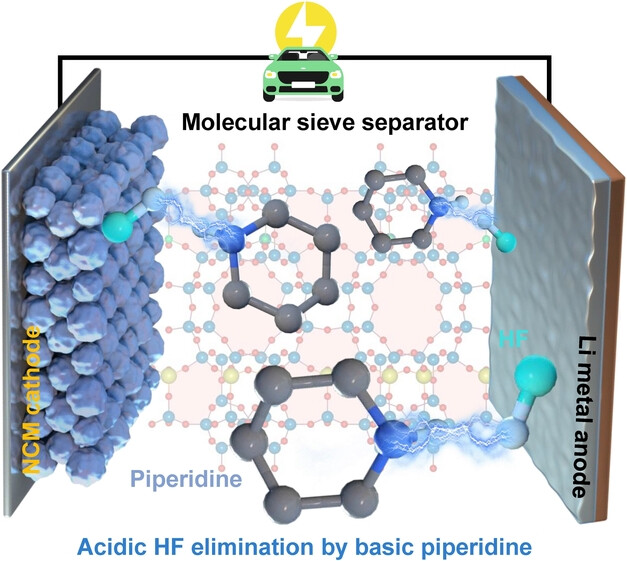 Eliminating Hydrogen Fluoride through Piperidine-Doped Separators for Stable Li Metal Batteries with Nickel-Rich Cathodes