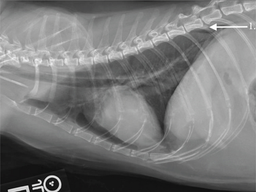 Details are in the caption following the image Details are in the caption following the image