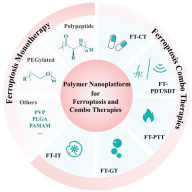 Biocompatible Polymer-Modified Nanoplatform for Ferroptosis-Enhanced Combination Cancer Therapy
