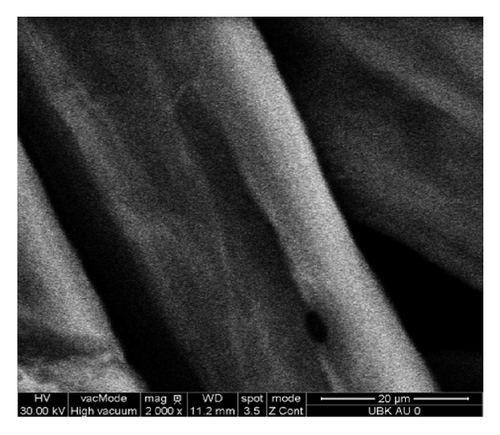 Details are in the caption following the image