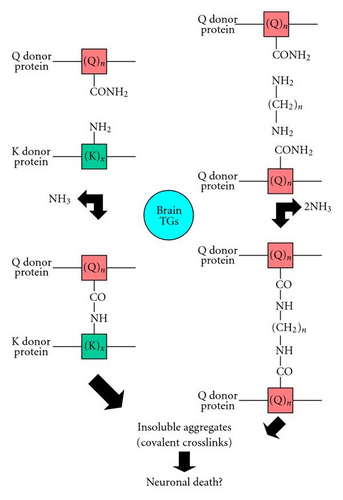 Details are in the caption following the image