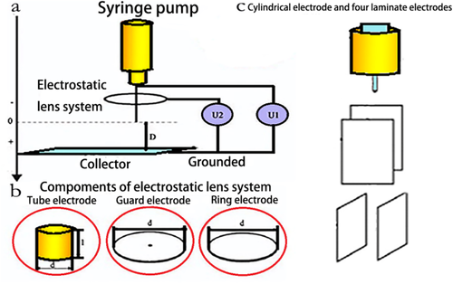 Details are in the caption following the image Details are in the caption following the image