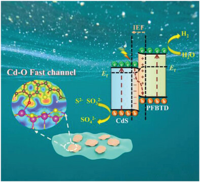 D–A Conjugated Polymer/CdS S-Scheme Heterojunction with Enhanced Interfacial Charge Transfer for Efficient Photocatalytic Hydrogen Generation