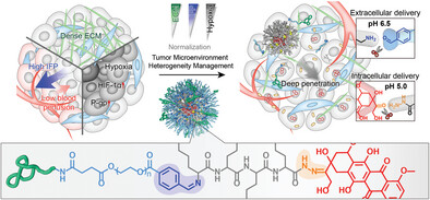 Bio-Responsive Macromolecular Drug and Small-Molecular Drug Conjugates: Nanoparticulate Prodrugs for Tumor Microenvironment Heterogeneity Management and Therapeutic Response Enhancement