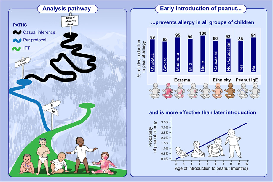 Early introduction of peanut reduces peanut allergy across risk groups in pooled and causal inference analyses