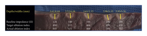 Details are in the caption following the image Details are in the caption following the image