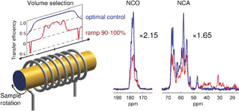 Overcoming Volume Selectivity of Dipolar Recoupling in Biological Solid-State NMR Spectroscopy