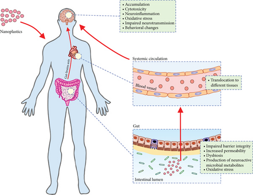 Details are in the caption following the image Details are in the caption following the image