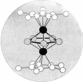 Cover Picture (Angew. Chem. Int. Ed. Engl. 4/1986)