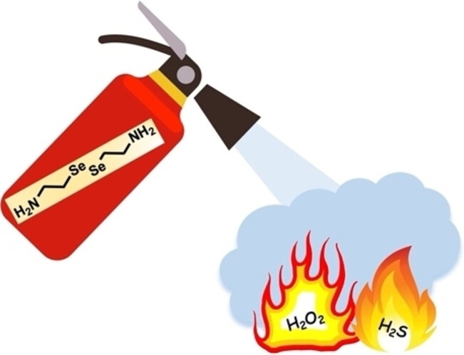Selenium-Based Catalytic Scavengers for Concurrent Scavenging of H2S and Reactive Oxygen Species