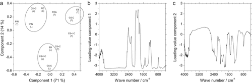 Details are in the caption following the image Details are in the caption following the image