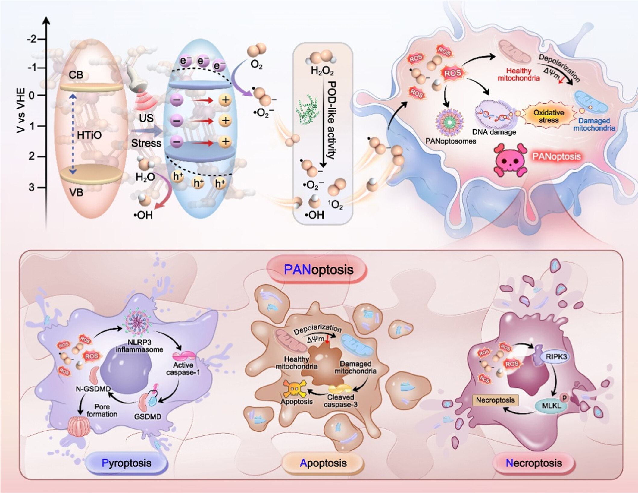 Dual Vacancies-Engineered Two-Dimensional Sonocatalysts for Ultrasound-Augmented and PANoptosis-Driven Catalytic Tumor Nanotherapy