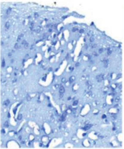 Details are in the caption following the image