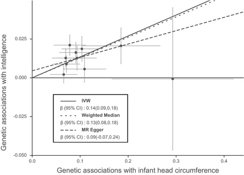 Mendelian randomization suggests that head circumference, but not birth weight and length, associates with intelligence