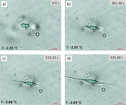 Details are in the caption following the image Details are in the caption following the image
