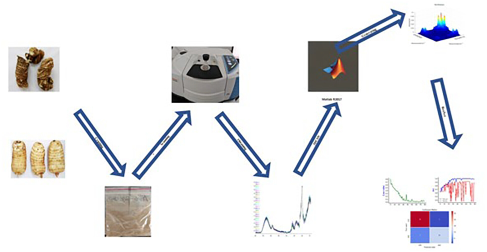 Building deep learning and traditional chemometric models based on Fourier transform mid-infrared spectroscopy: Identification of wild and cultivated Gastrodia elata