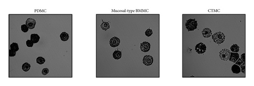 Details are in the caption following the image Details are in the caption following the image