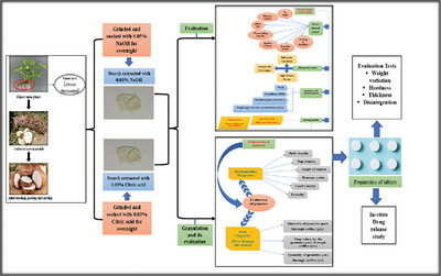 Isolation and Characterization of Colon Targeting Starch from the Non-Conventional Source of Jharkhand, India
