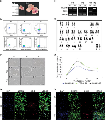 Details are in the caption following the image Details are in the caption following the image