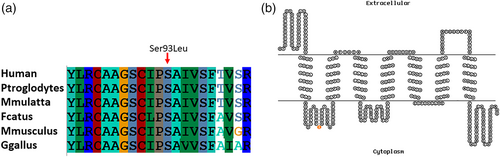 Details are in the caption following the image