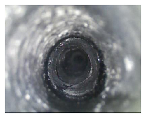 Details are in the caption following the image Details are in the caption following the image