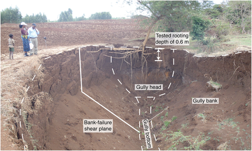 Details are in the caption following the image Details are in the caption following the image