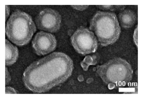 Details are in the caption following the image