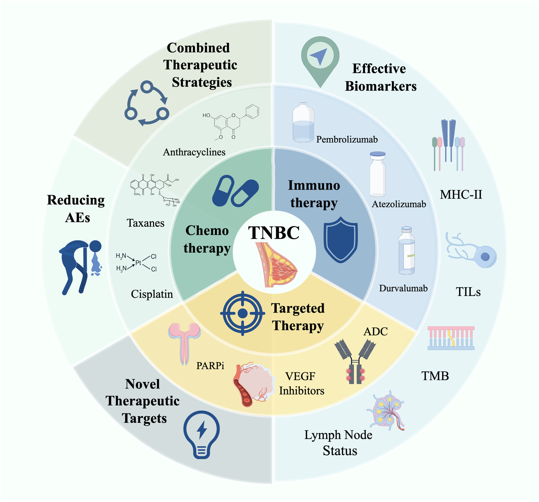 Neoadjuvant Strategies for Triple Negative Breast Cancer: Current Evidence and Future Perspectives