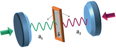 Optimal Control for Robust Photon State Transfer in Optomechanical Systems
