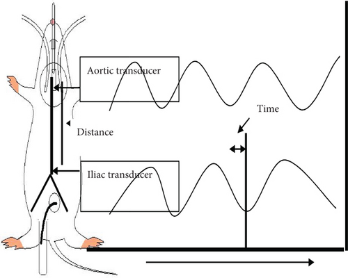 Details are in the caption following the image